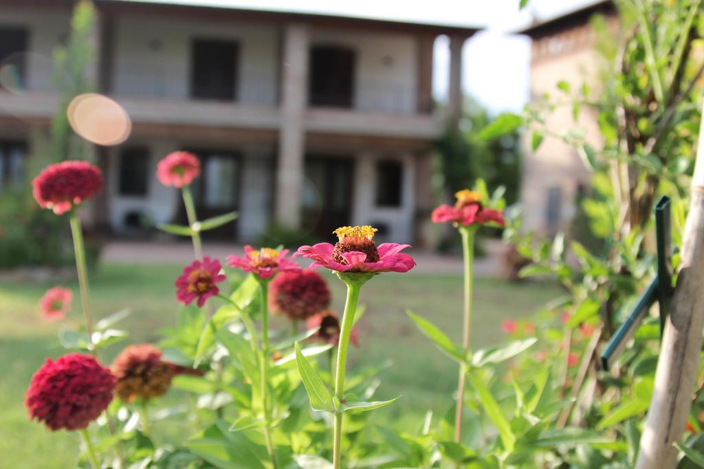 Il Ghiandolino Villa Imola Kamer foto